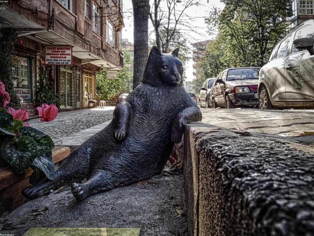 អ្វីដែលអ្នកត្រូវដឹងពីការបង្ហាញដែលមានប្រសិទ្ធភាព