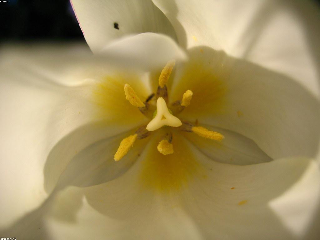 គន្លឹះសម្រាប់ការសិក្សាសម្រាប់អ្នកថ្មី