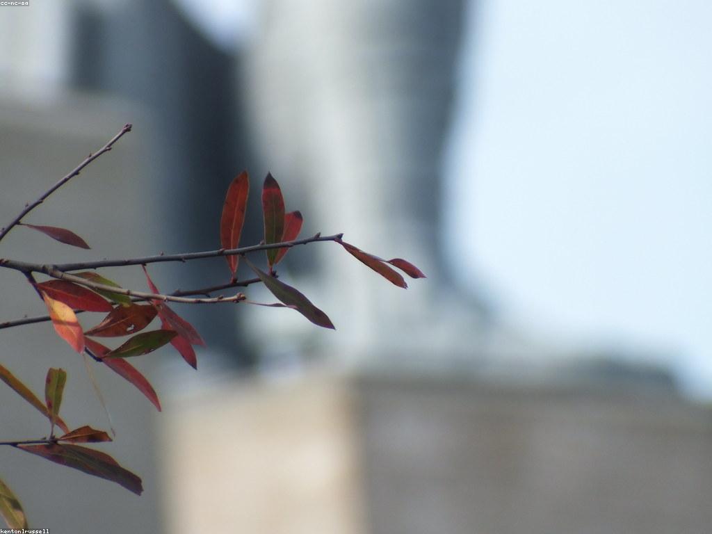 វិធីសាស្ត្រសម្រាប់ការពិនិត្យគុណភាពផលិតផល